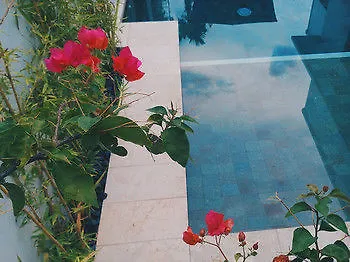 Hotel Kamil